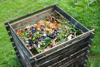 Aprenda a fazer compostagem em casa!