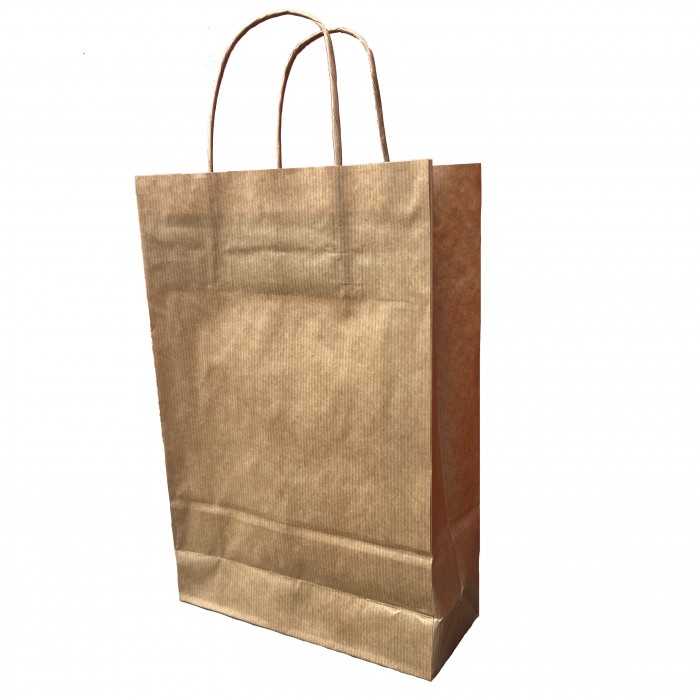 Bag with Kraft Twisted Handle 200+80X280mm (250 Units)
